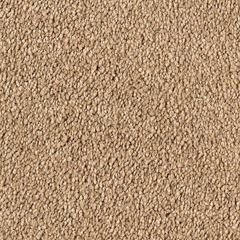 Textured Saxony Artisan Beige/Tan Carpet
