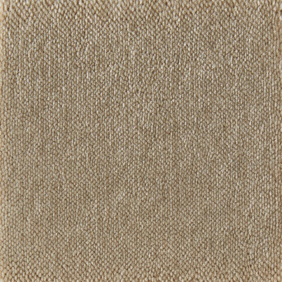Texture Almond Beige/Tan Carpet