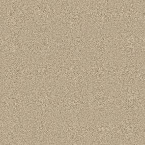 Textured Saxony Warm Glow Beige/Tan Carpet