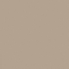 Texture ANTIQUE LINEN Beige/Tan Carpet