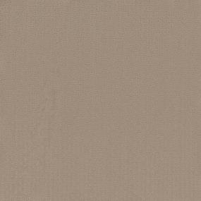 Pattern Balsawood Beige/Tan Carpet