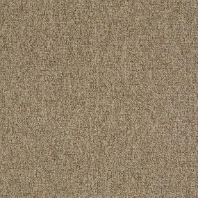 Loop Social Brown Carpet