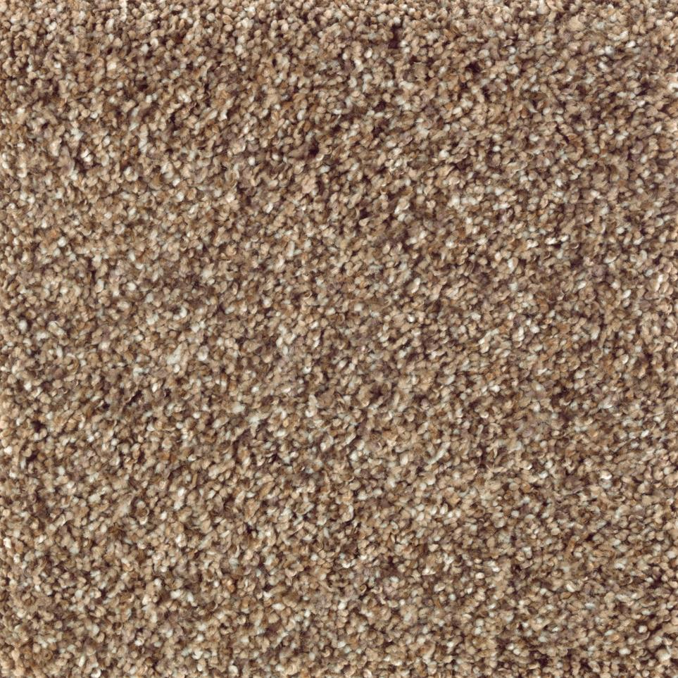 Texture Party Mix Beige/Tan Carpet