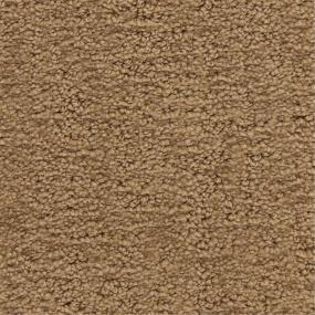 Pattern Oak Park Brown Carpet