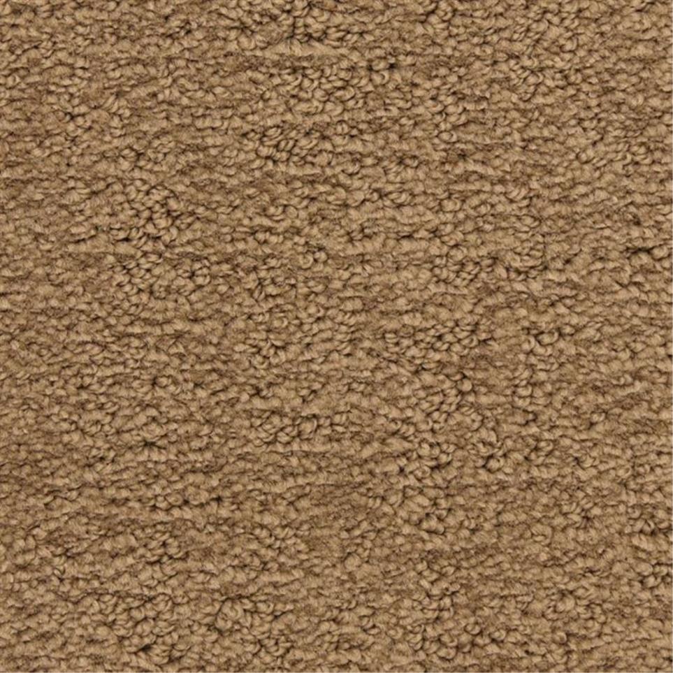 Pattern Oak Park Brown Carpet