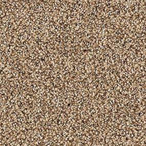 Textured Saxony Haven Brown Carpet
