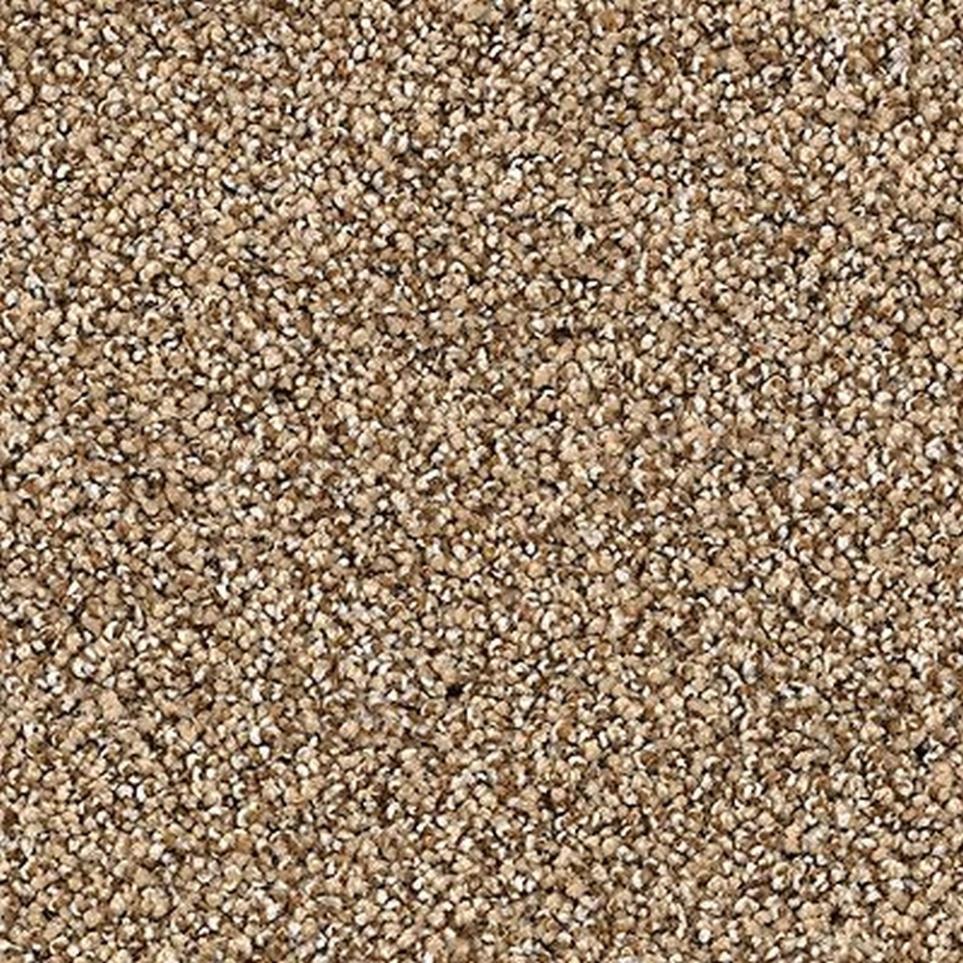 Textured Saxony Haven Brown Carpet