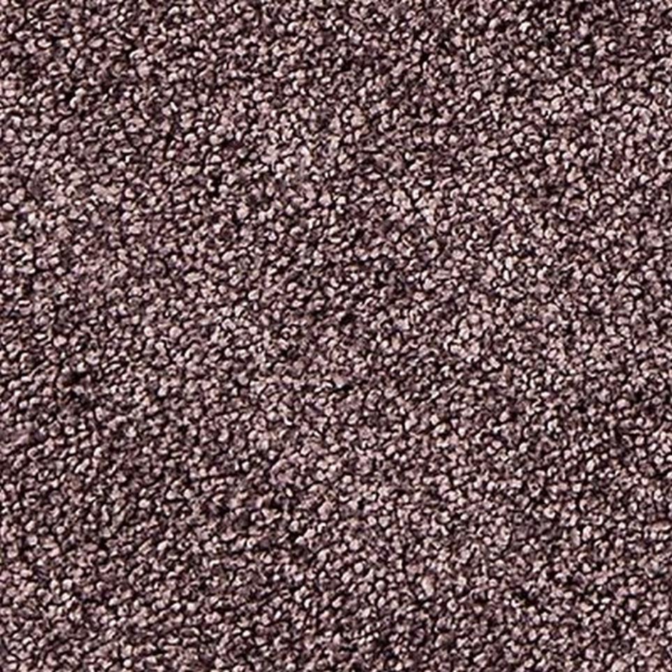 Textured Saxony Baccara Purple Carpet