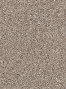 Textured Saxony Breezy Beige/Tan Carpet