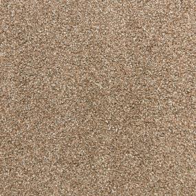 Textured Saxony Chocolate Brown Carpet