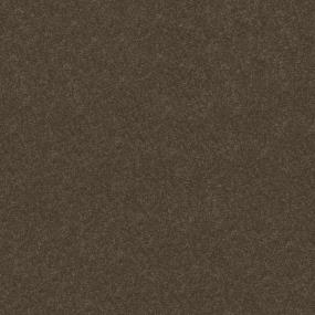 Textured Saxony Fudge Brown Carpet
