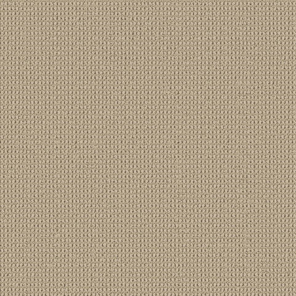Loop Safari Beige/Tan Carpet