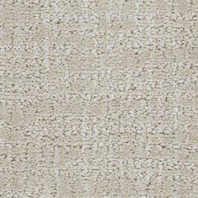 Pattern Chic Beige/Tan Carpet