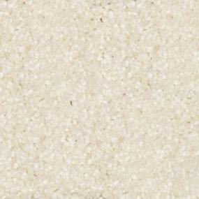 Textured Saxony Westchester Beige/Tan Carpet