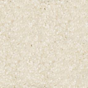 Texture Westchester Beige/Tan Carpet