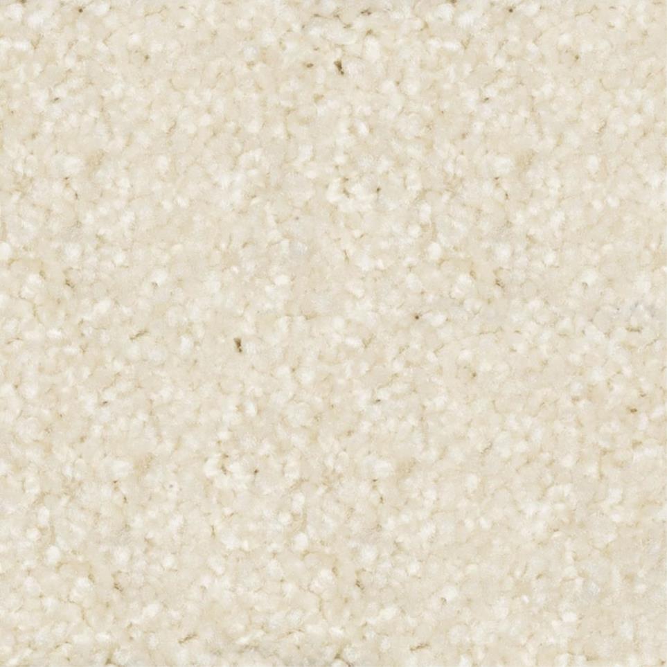 Textured Saxony Westchester Beige/Tan Carpet