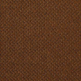 Pattern Peanut Brittle Brown Carpet