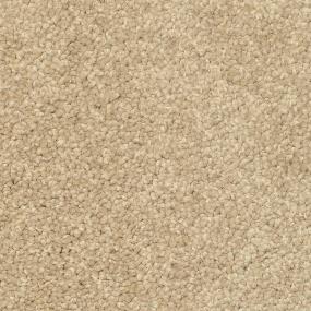 Casual Texture Tahoe Stone Beige/Tan Carpet