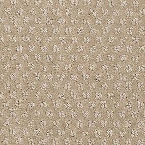 Pattern Birch Beige/Tan Carpet