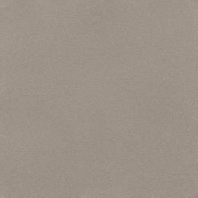 Textured Saxony Polished Beige/Tan Carpet