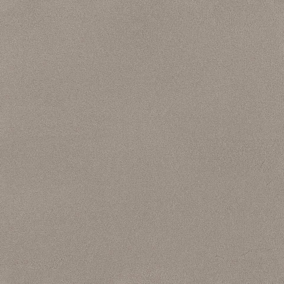 Textured Saxony Polished Beige/Tan Carpet