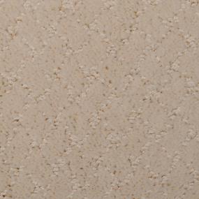 Pattern Cozy Beige/Tan Carpet