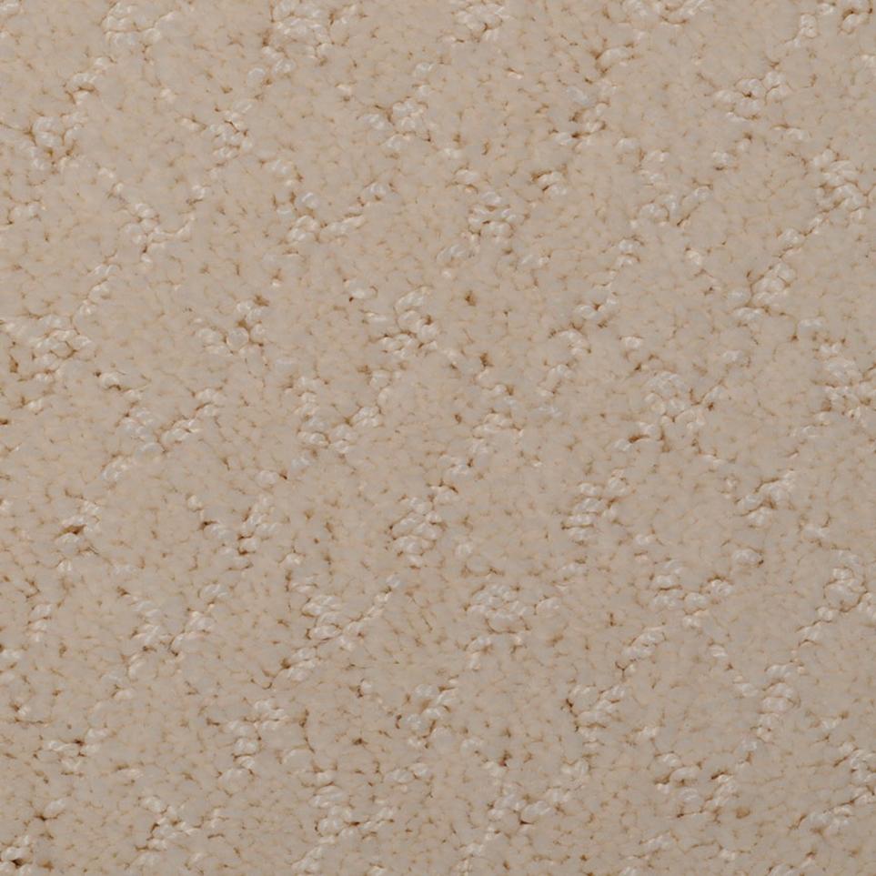 Pattern Cozy Beige/Tan Carpet