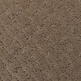 Pattern Mesa Beige/Tan Carpet