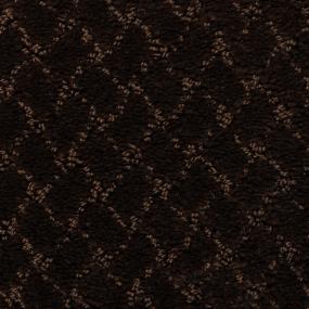 Pattern Homestead Brown Carpet