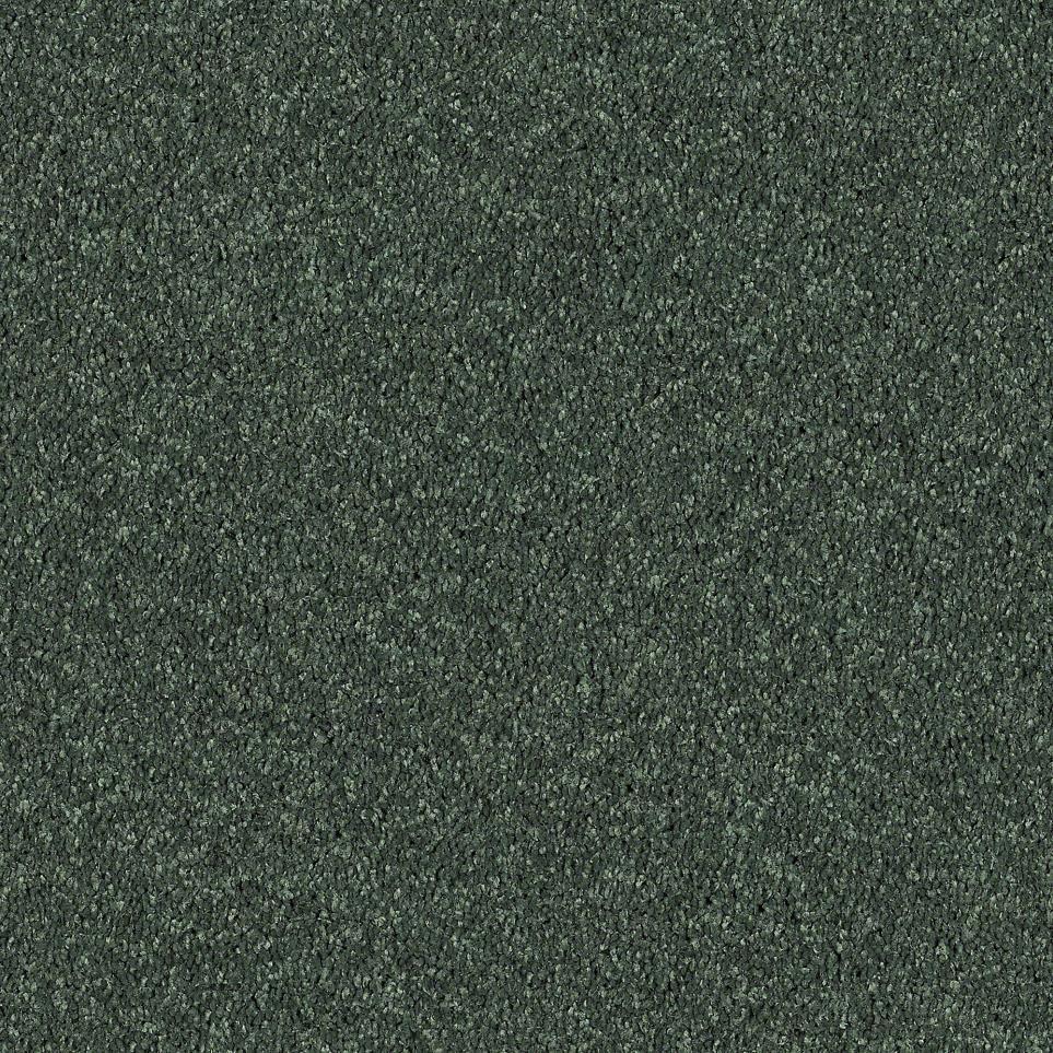 Texture Amazon Green Carpet