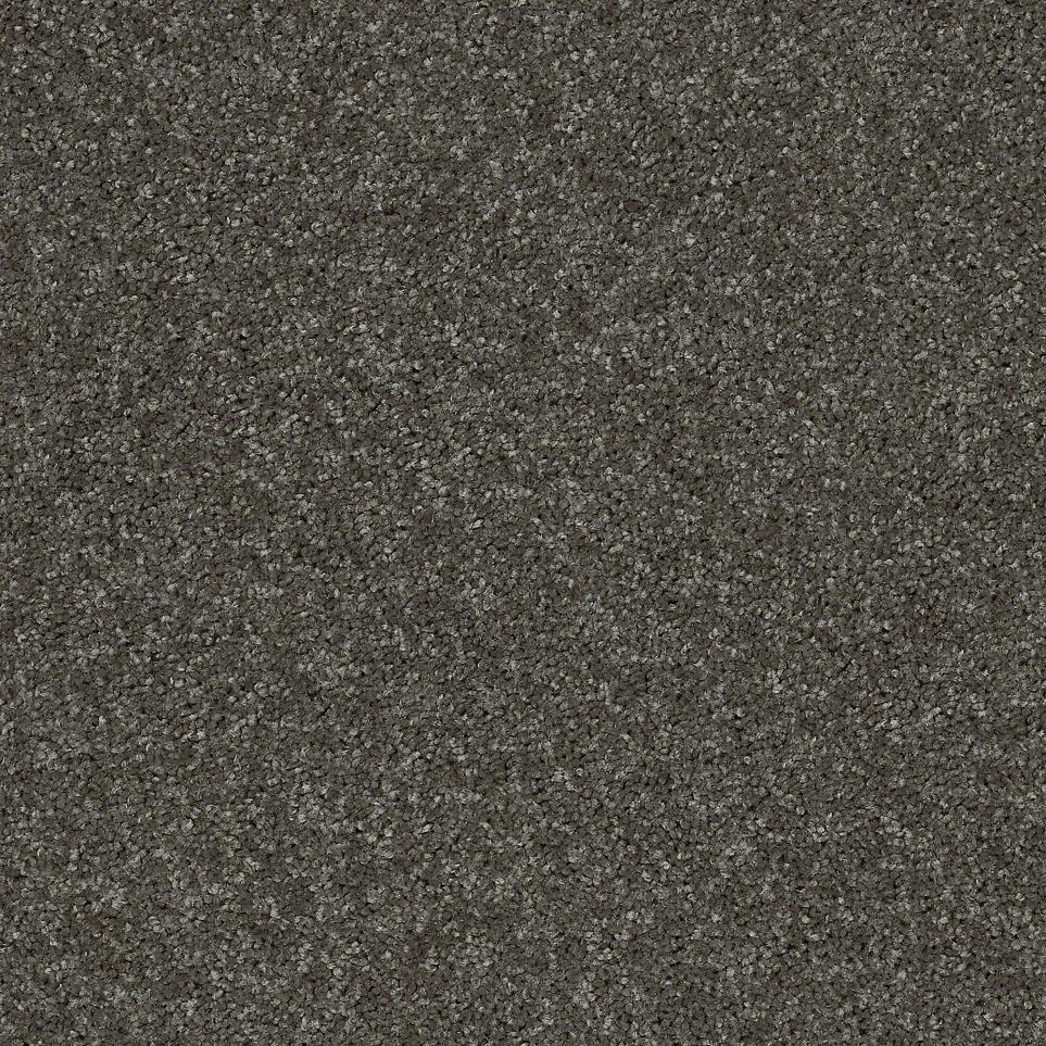 Texture Dogsled Gray Carpet