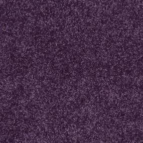 Textured Saxony Cosmic Purple Carpet