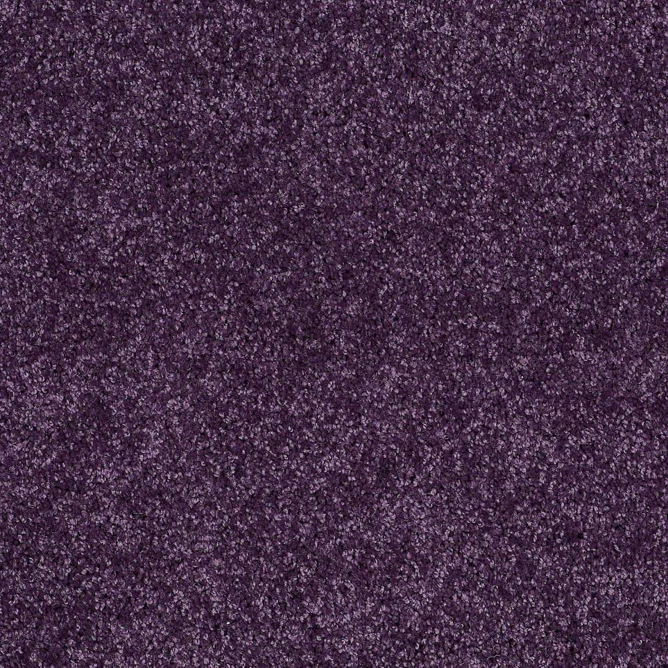 Texture Cosmic Purple Carpet