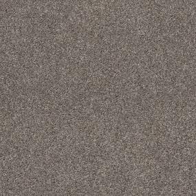 Casual Texture Nickel                         Brown Carpet