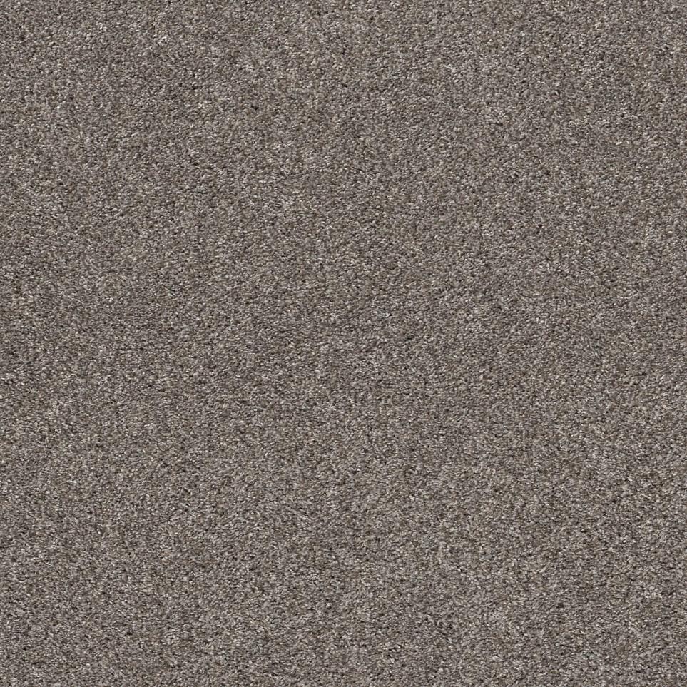 Casual Texture Nickel                         Brown Carpet