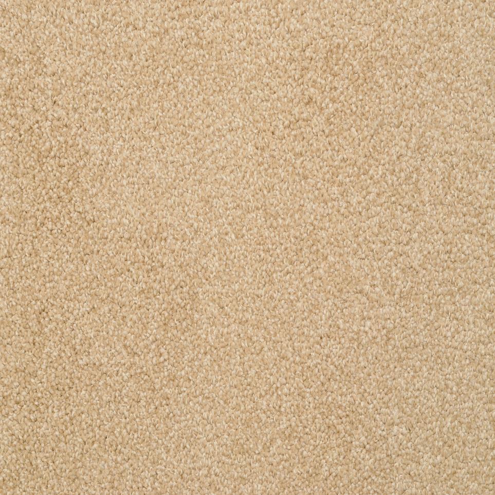 Texture Camelite  Carpet