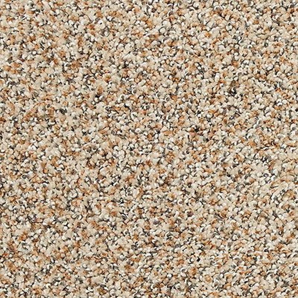 Textured Saxony Softened Ash Beige/Tan Carpet