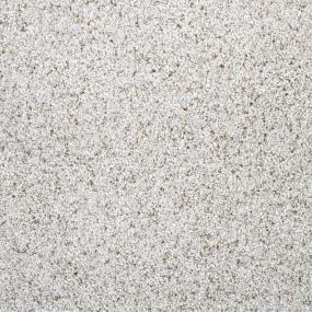 Textured Saxony Gallant Beige/Tan Carpet