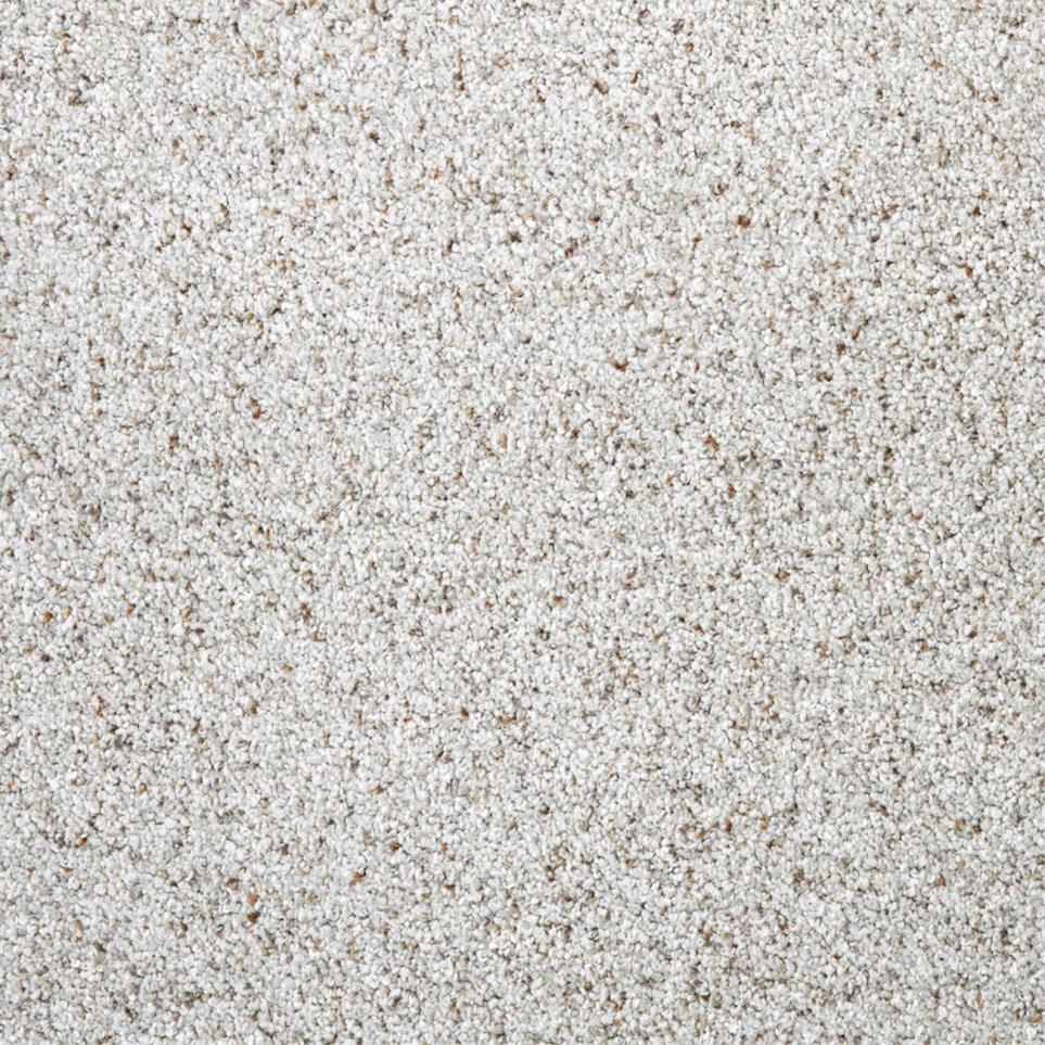 Textured Saxony Gallant Beige/Tan Carpet