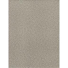 Textured Saxony Wishing Well Beige/Tan Carpet