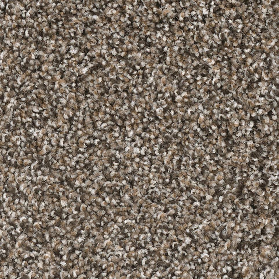 Texture Casino Brown Carpet