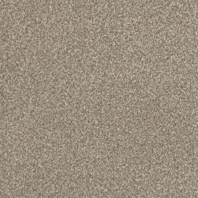 Textured Saxony Outlook Beige/Tan Carpet