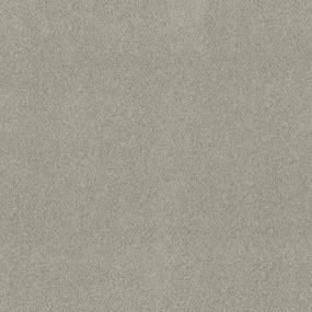 Textured Saxony Showpiece Gray Carpet