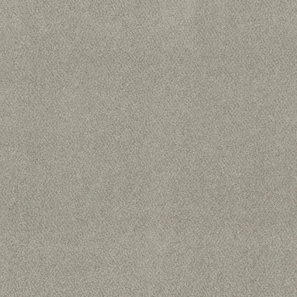 Textured Saxony Showpiece Gray Carpet