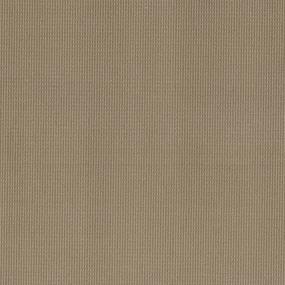 Loop Sisal Beige/Tan Carpet