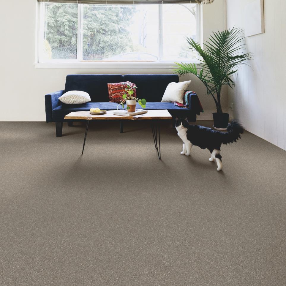 Textured Saxony Leather Beige/Tan Carpet
