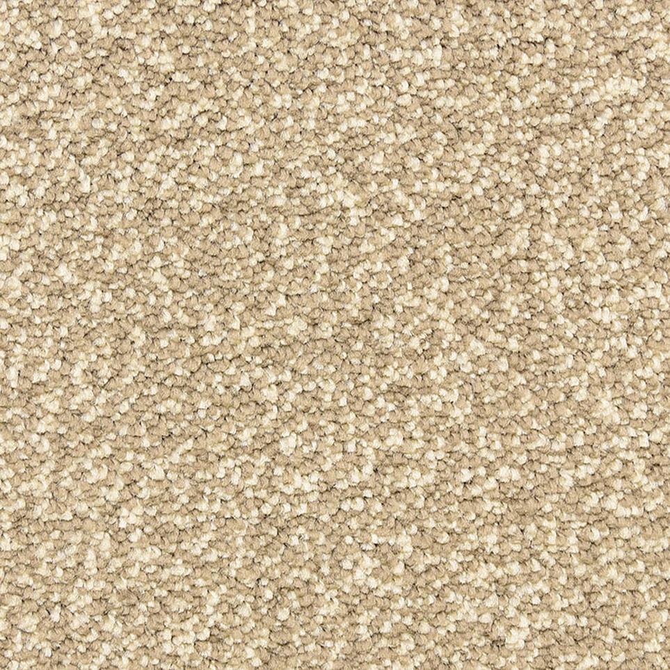 Texture Putty Beige/Tan Carpet