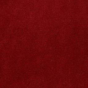 Cut Pile Petal Red Carpet