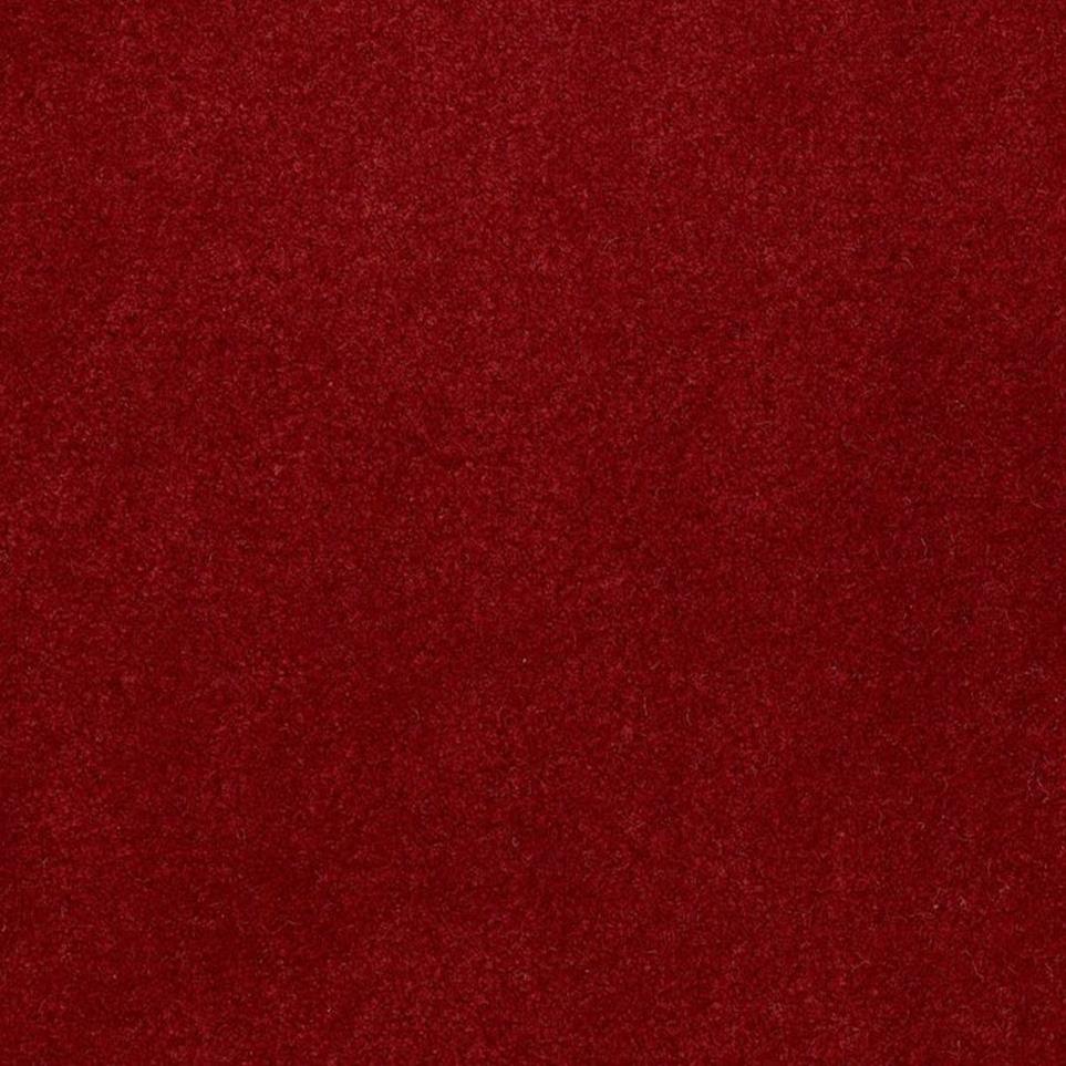Cut Pile Petal Red Carpet