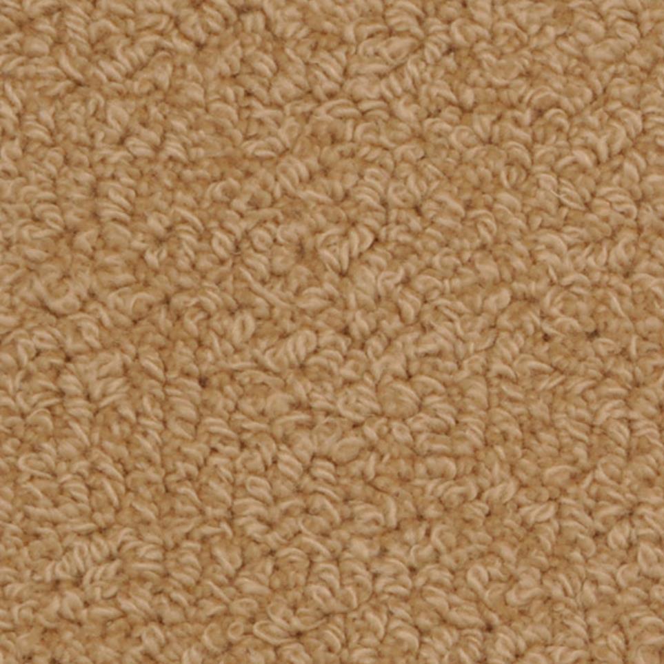 Loop Wawro Beige/Tan Carpet